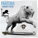 Paantara, Garaar's Feleox