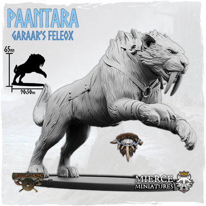 Paantara, Garaar's Feleox