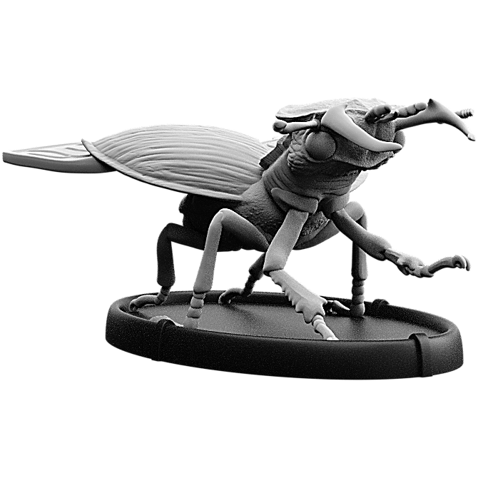 Scima, Cnoll Beetle