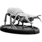 Bitan, Cnoll Beetle
