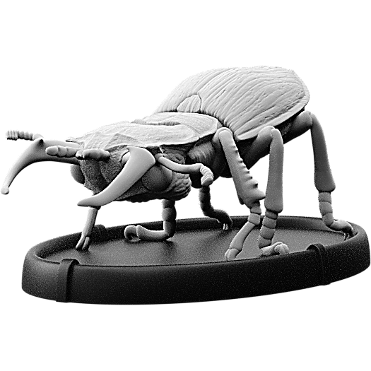 Gritan, Cnoll Beetle