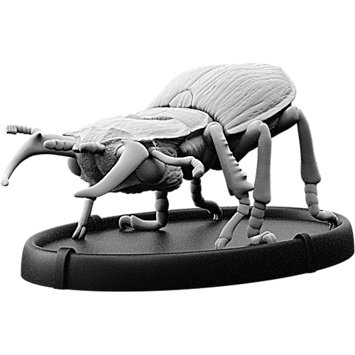Gritan, Cnoll Beetle