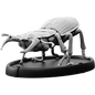 Gritan, Cnoll Beetle