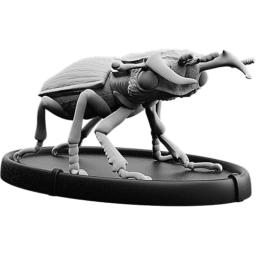 Ater, Cnoll Beetle