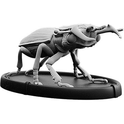 Ater, Cnoll Beetle