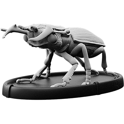 Teran, Cnoll Beetle