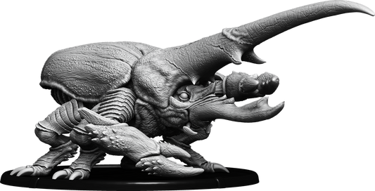 Scethæn, Crag Beetle