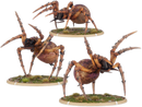 Guliant's Web, Tomb Spider Unit