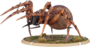 Culgulc, Tomb Spider Warrior