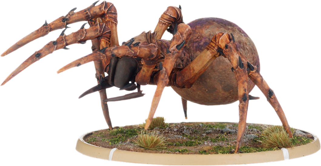 Culgulc, Tomb Spider Warrior