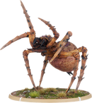 Angol, Tomb Spider Warrior