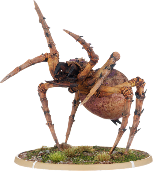 Angol, Tomb Spider Warrior