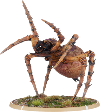 Angol, Tomb Spider Warrior