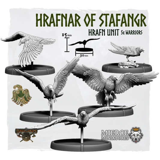 Hrafnar of Stafangr, Hrafn Unit