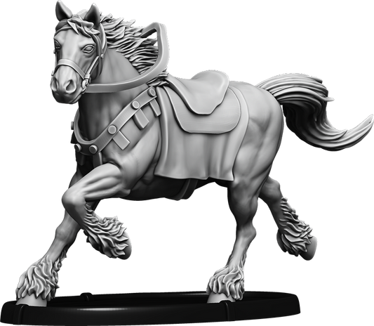 Rántoppr, Knútr's Horse