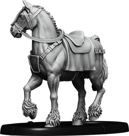 Hjarta, Birna's Horse