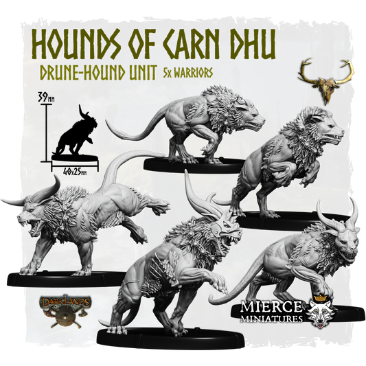 Hounds of Carn Dhu, Drune-Hound Unit (5x warriors)