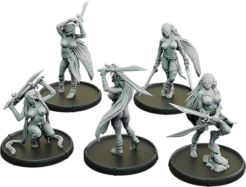 Euryalia's Blades, Falchions-Melusine Unit (5x warriors)