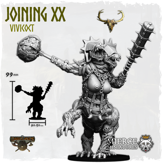 Joining XX, Vivicoct