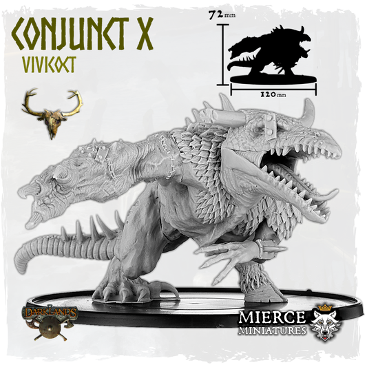 Conjunct X, Vivicoct