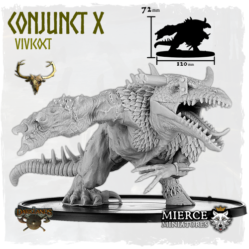 Conjunct X, Vivicoct