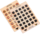 Darklands Albainn (Fortriu) Order Tokens Set