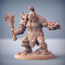 Ogre Marauder A
