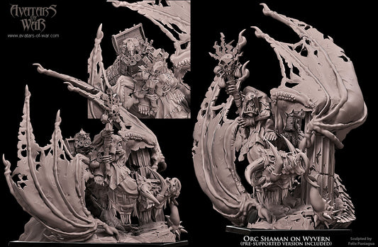 Orc Shaman on Wyvern