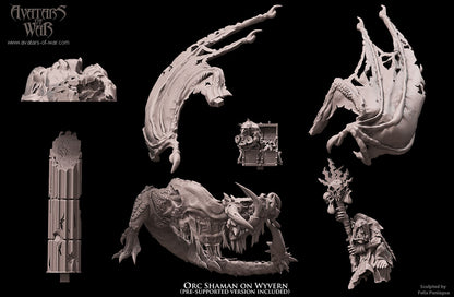 Orc Shaman on Wyvern