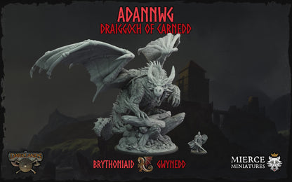 Adannwg, Draiggoch of Carnedd