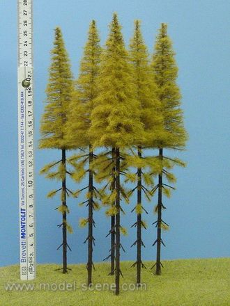 Model Scene - MK254 - Larch Trees with Trunks in Autumn (230-270mm)