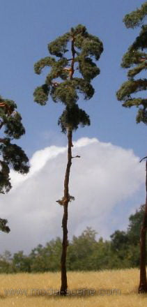 Model Scene - BR200 - Pine Trees (180-220mm)