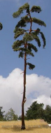 Model Scene - BR250 - Pine Trees (230-260mm)
