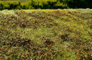 Model Scene - F510 - Low Bushes Mat in Autumn (18x28cm)