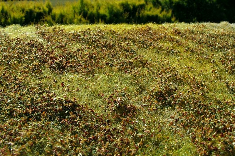 Model Scene - F510 - Low Bushes Mat in Autumn (18x28cm)