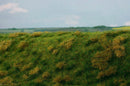 Model Scene - F522 - Fallow Field Grass Mat in Early Summer (18x28cm)
