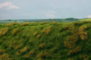 Model Scene - F522 - Fallow Field Grass Mat in Early Summer (18x28cm)