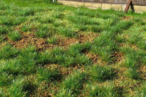 Model Scene - F532 - Steppe Grass Mat in Early Summer (18x28cm)