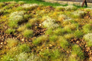 Model Scene - F534 - Stony Steppe Mat in Late Summer (18x28cm)