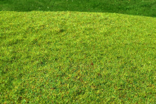 Model Scene - F001 - Cut Meadow Grass Mat in Spring (18x28cm)