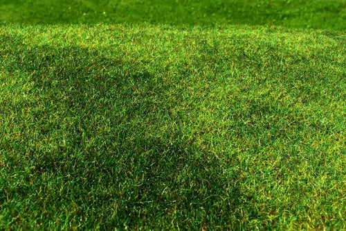 Model Scene - F002 - Cut Meadow Grass Mat in Early Summer (18x28cm)