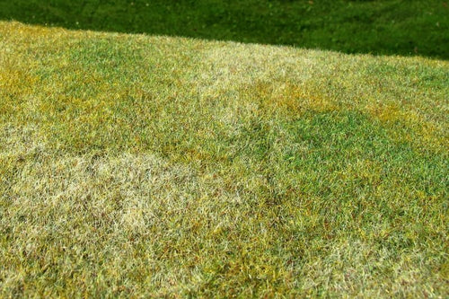 Model Scene - F003 - Cut Meadow Grass Mat in Late Summer (18x28cm)