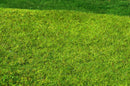Model Scene - F021  - Meadow High-Grown Grass Mat in Spring (18x28cm)