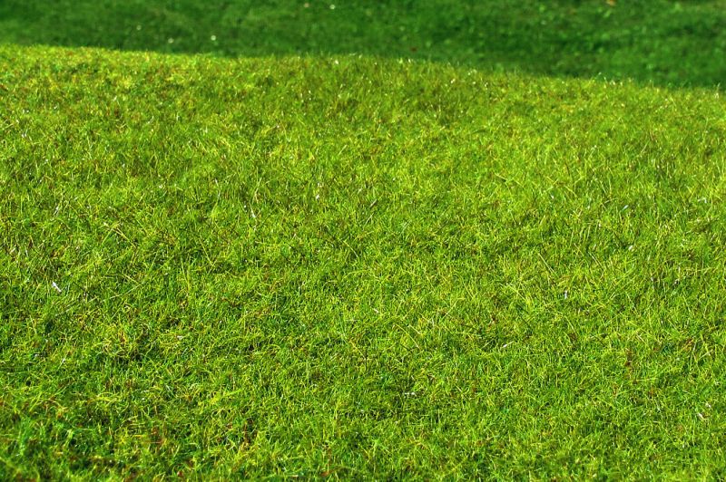 Model Scene - F021  - Meadow High-Grown Grass Mat in Spring (18x28cm)