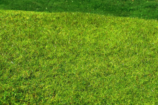 Model Scene - F021  - Meadow High-Grown Grass Mat in Spring (18x28cm)
