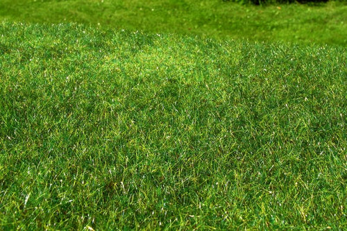 Model Scene - F022 - Meadow High-Grown Grass Mat in Early Summer (18x28cm)