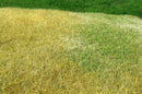 Model Scene - F023 - Meadow High-Grown Grass Mat in Late Summer (18x28cm)