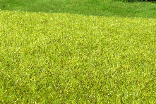 Model Scene - F010 - Light Green Wetland Mat (18x28cm)