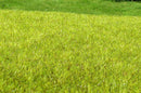 Model Scene - F010 - Light Green Wetland Mat (18x28cm)