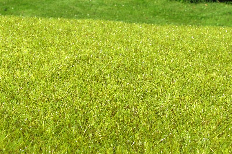 Model Scene - F010 - Light Green Wetland Mat (18x28cm)